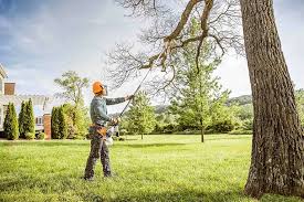 Best Lawn Watering Services  in Curwensville, PA